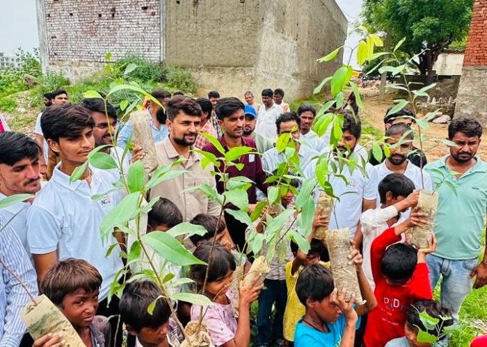 plantation team